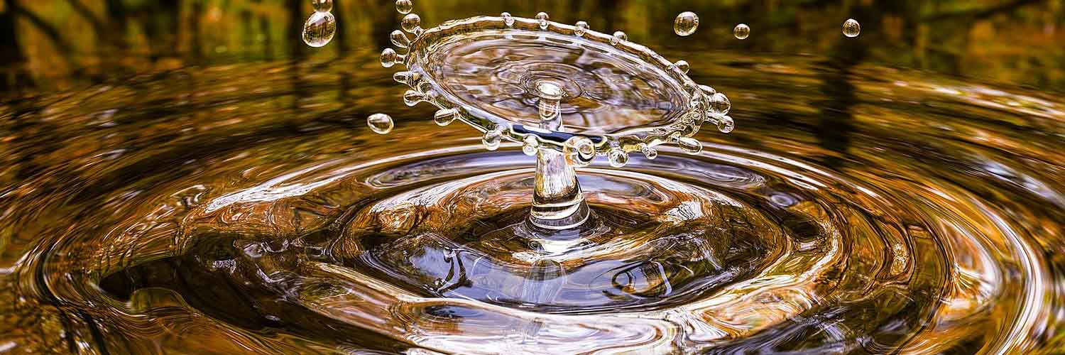 Water is the Elixir of Life